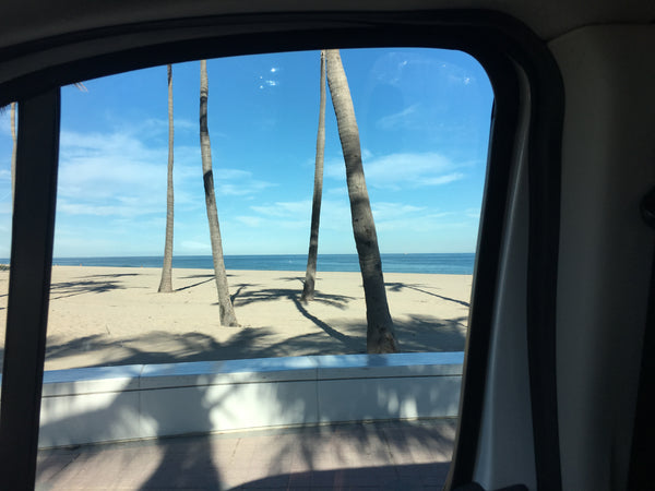 Visit Downtown Fort Lauderdale for a Day Trip