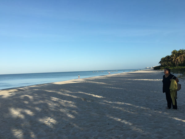 Zone M - Day Trips between Naples and West Palm Beach