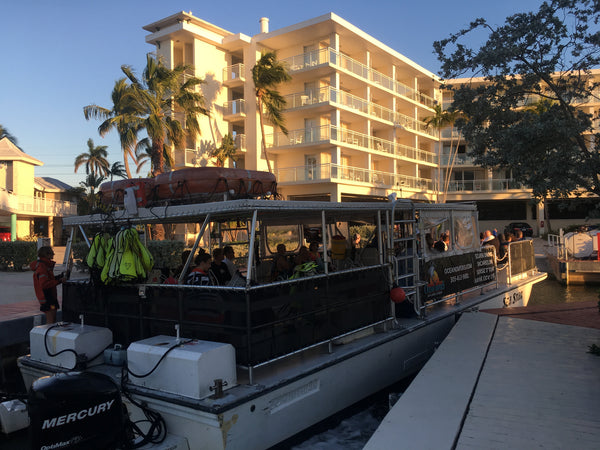 Visit the Keys for an All Day Diving Trip