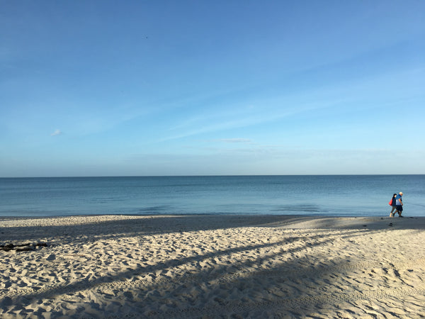 Zone M - Day Trips between Naples and West Palm Beach