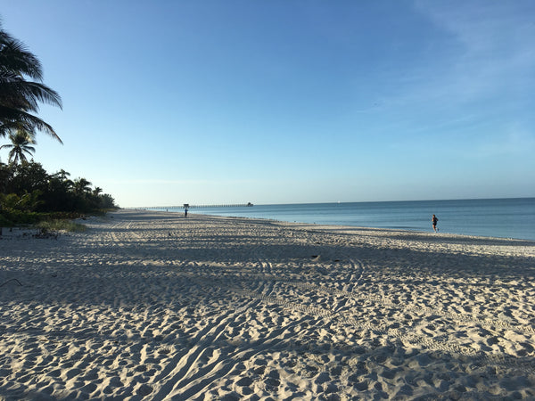 Zone M - Day Trips between Naples and West Palm Beach