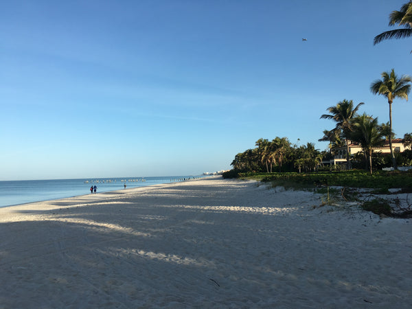 Zone M - Day Trips between Naples and West Palm Beach