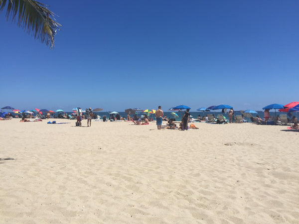 Zone O - Day Trip from Marco Island or Naples to Fort Lauderdale Beach