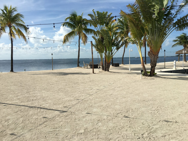 Brunch or Lunch at the Marriott Key Largo Bay Resort