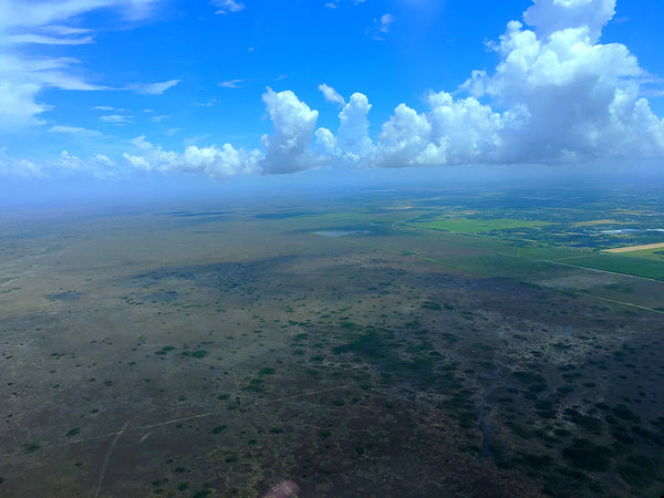 Our Key West Day Trip for 4-6 Persons