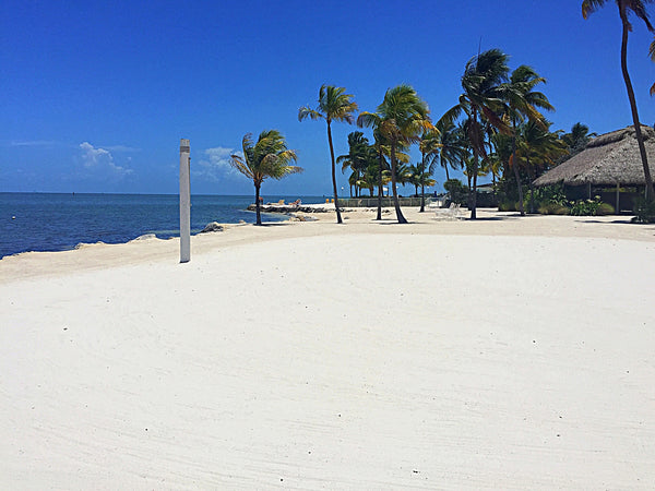 Our Key West Day Trip for 4-6 Persons