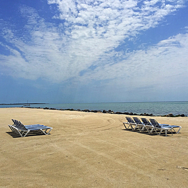 Our Key West Day Trip for 4-6 Persons