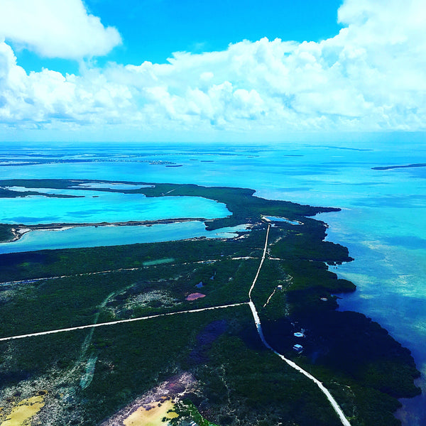 Our Key West Day Trip for 4-6 Persons