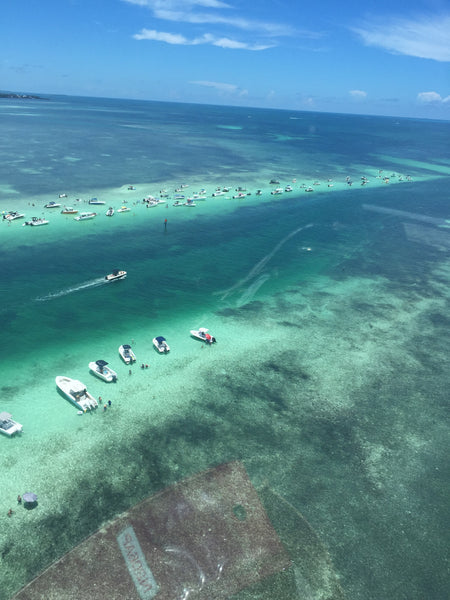 Our Key West Day Trip for 4-6 Persons