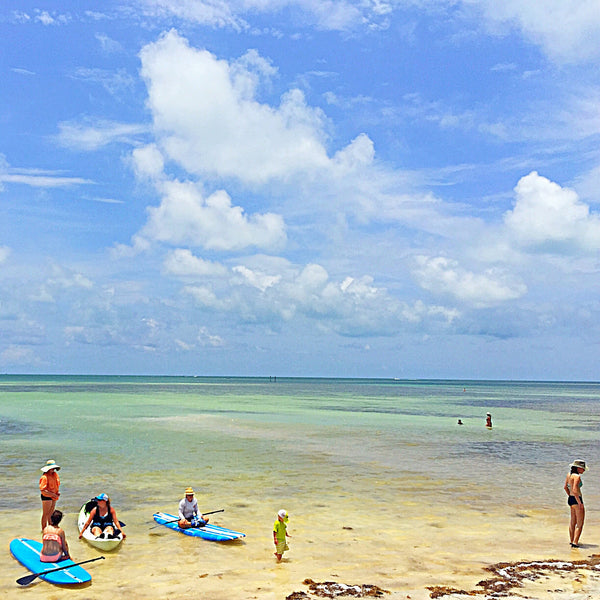 Our Key West Day Trip for 4-6 Persons