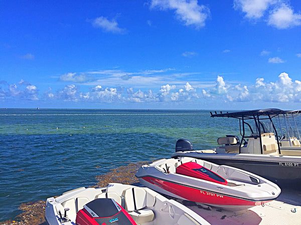 Our Key West Day Trip for 4-6 Persons