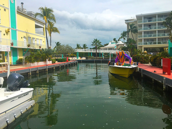 Brunch or Lunch at the Marriott Key Largo Bay Resort