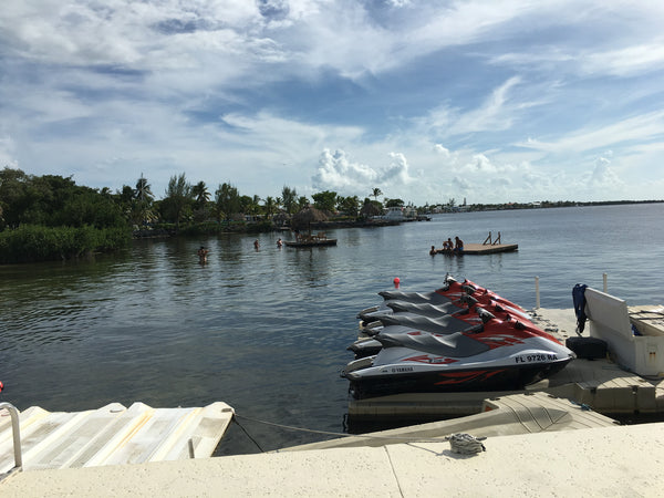 Brunch or Lunch at the Marriott Key Largo Bay Resort