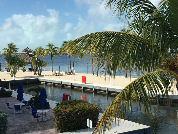 Brunch or Lunch at the Marriott Key Largo Bay Resort