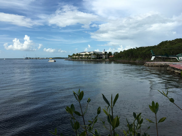 Brunch or Lunch at the Marriott Key Largo Bay Resort