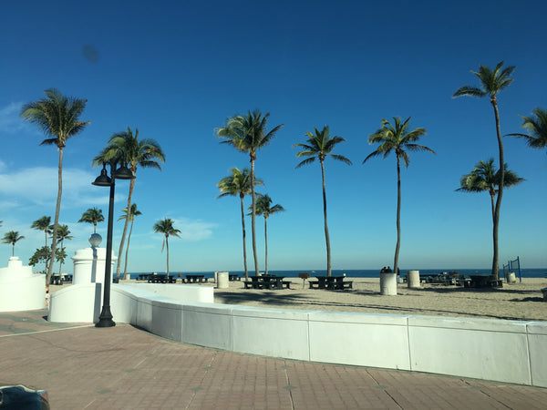 Visit Downtown Fort Lauderdale for a Day Trip