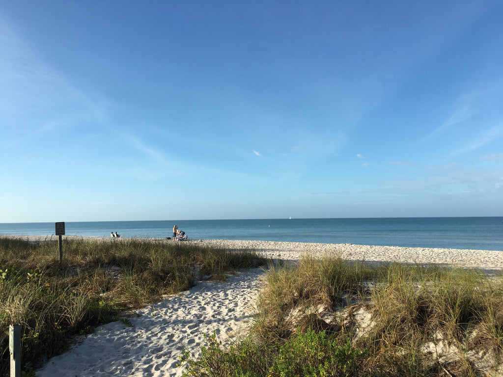 Miami to Marco Island and Naples Day Trip for 4-6 Persons
