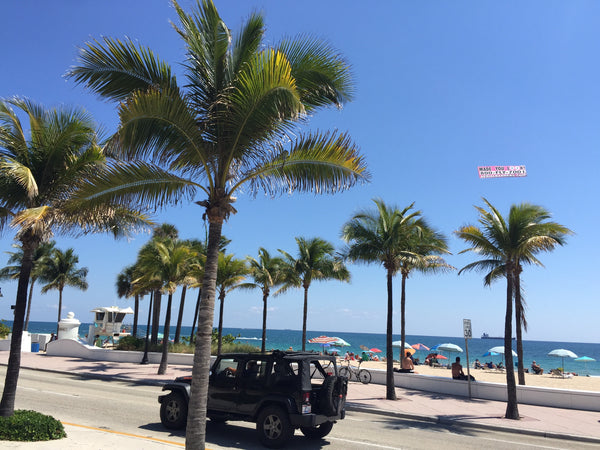 Zone O - Day Trip from Marco Island or Naples to Fort Lauderdale Beach