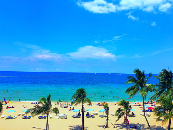 Visit Downtown Fort Lauderdale for a Day Trip