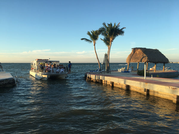 Visit the Keys for an All Day Diving Trip