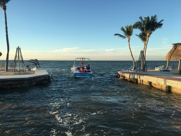 Visit the Keys for an All Day Diving Trip