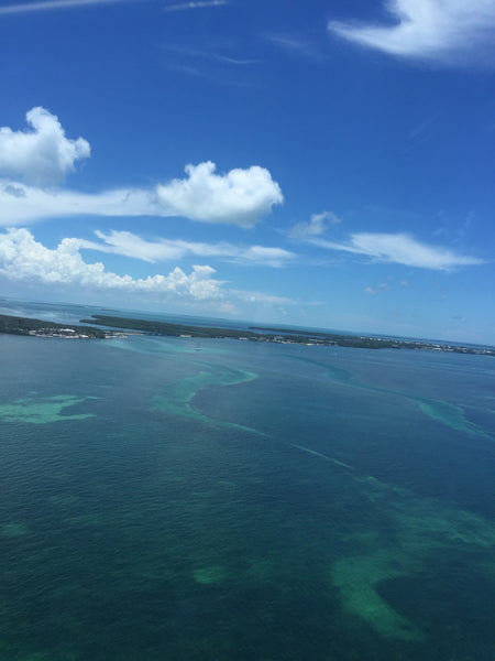 A Miami HeliTour over the Everglades and Key Largo