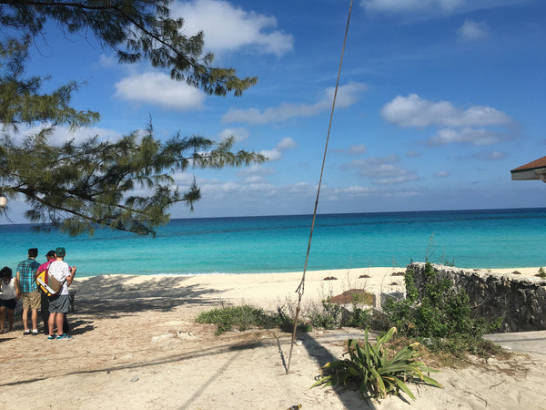 Bimini, Bahamas Day Trip for 1 Person